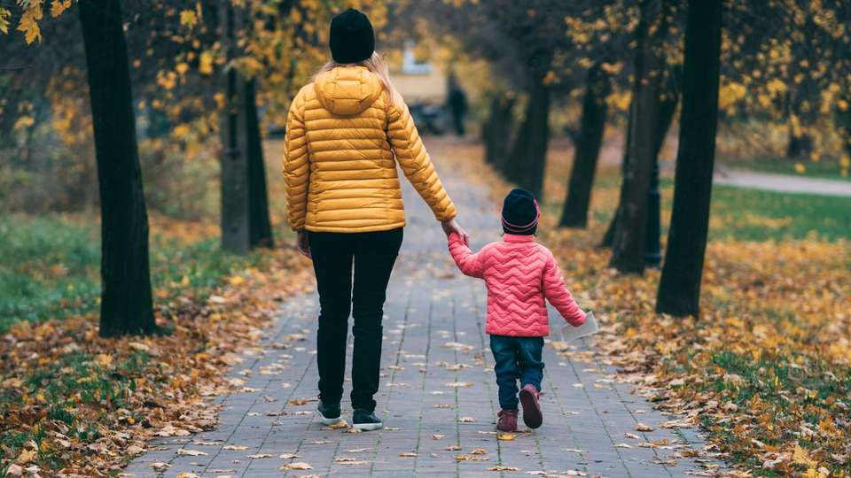 An adult and a small child walking hand in hand along a tree-lined path, seen from behind