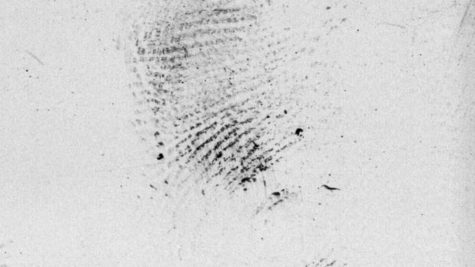 Black ink fingerprints on a sheet of white paper