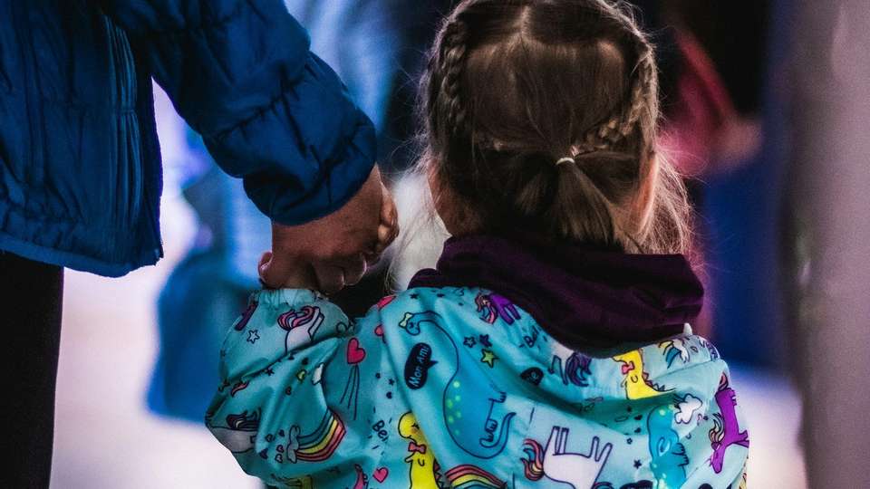 A young girl with braided hair holding an adult's hand, seen from behind
