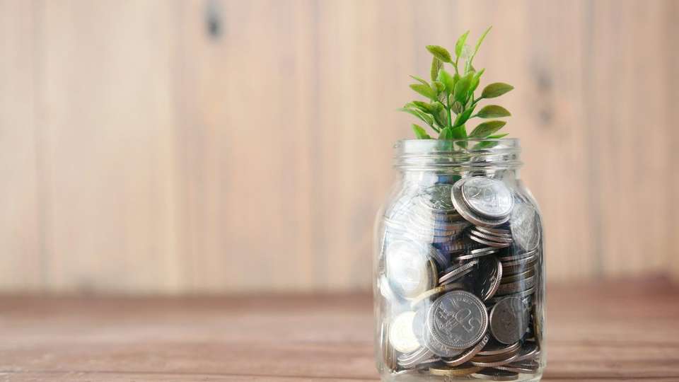 A glass jar of coins with a small plant growing from the top