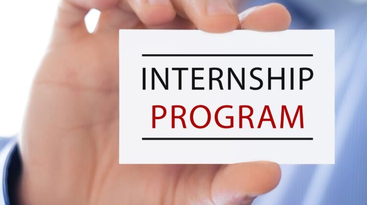 Learnerships vs. Internships 2026